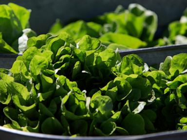 between-prices-and-a-diarrhea-causing-parasite,-lettuce-is-causing-hard-times