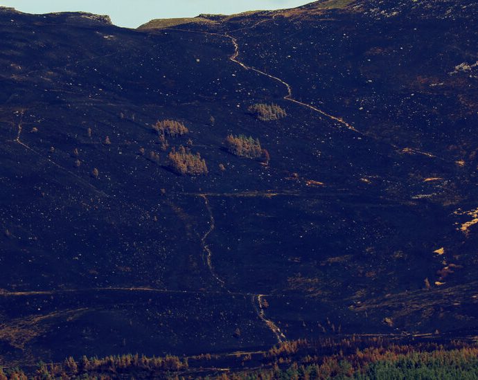 as-wildfires-plague-europe,-scotland-races-to-save-a-cherished-national-park