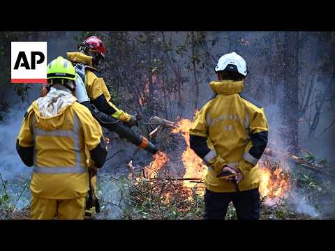 firefighters-in-france-set-controlled-burns-to-keep-wildfires-at-bay