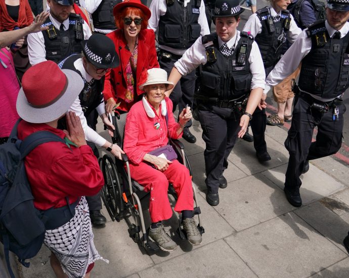 police-arrest-dozens-at-london-rally-supporting-palestine-action