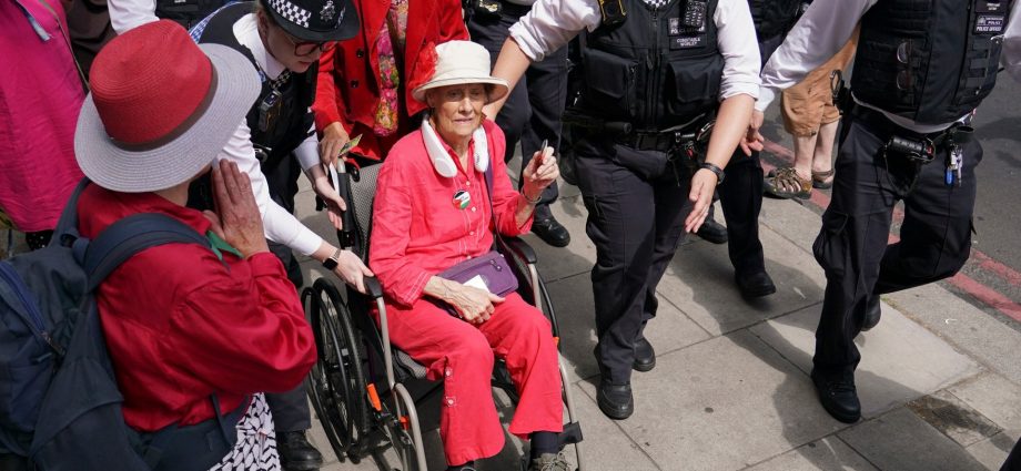police-arrest-dozens-at-london-rally-supporting-palestine-action