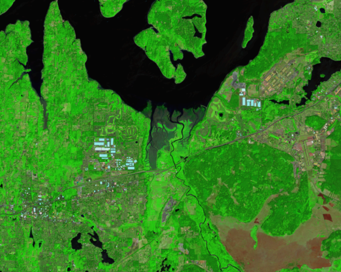 moving-marshes-in-the-puget-sound