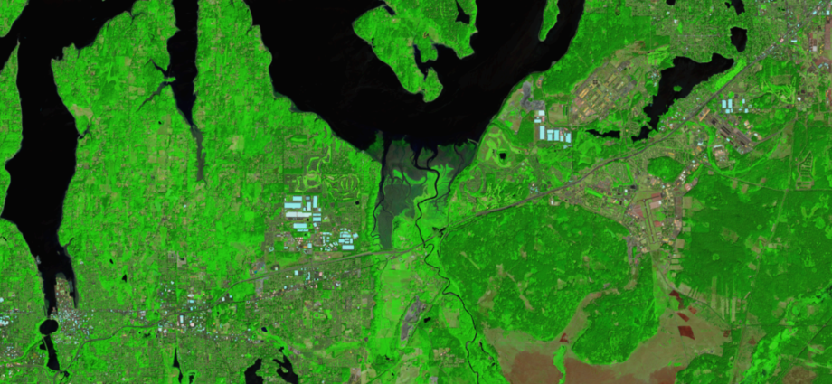 moving-marshes-in-the-puget-sound