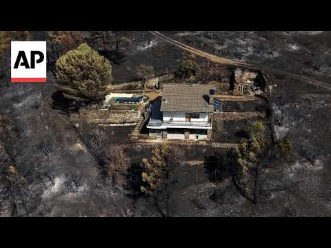 scene-in-portugal,-greece,-spain,-uk-and-turkey-as-wildfires-flare-across-europe