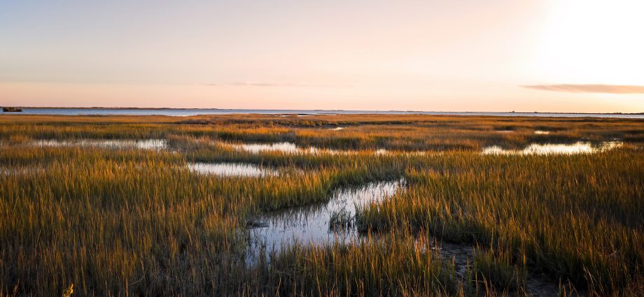 a-plan-to-preserve-wetlands-without-stopping-development