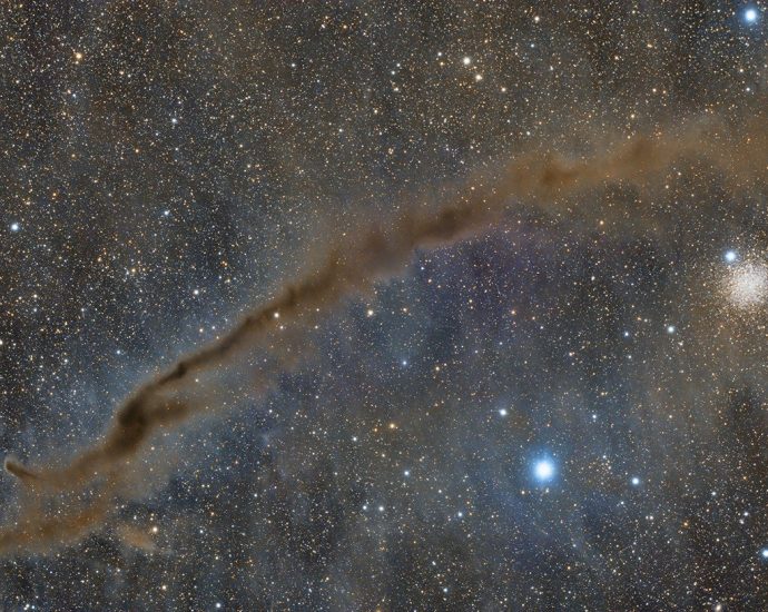 apod:-2026-july-31-–-ngc-4372-and-the-dark-doodad