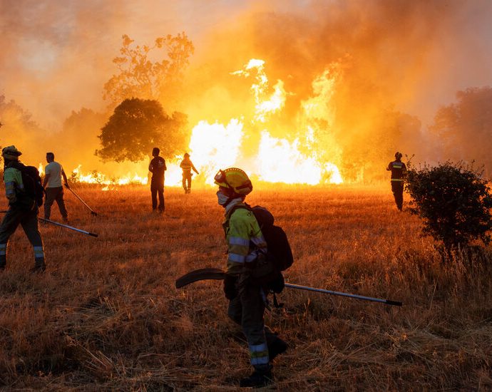 earth’s-warming-primed-france-and-spain-to-burn,-scientists-find
