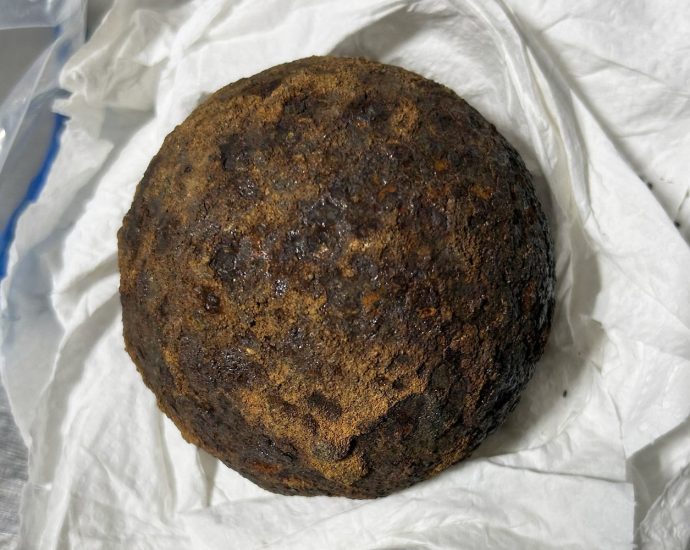 tsa-discovers-five-stolen-civil-war-era-cannonballs-in-a-traveler’s-luggage-in-alabama