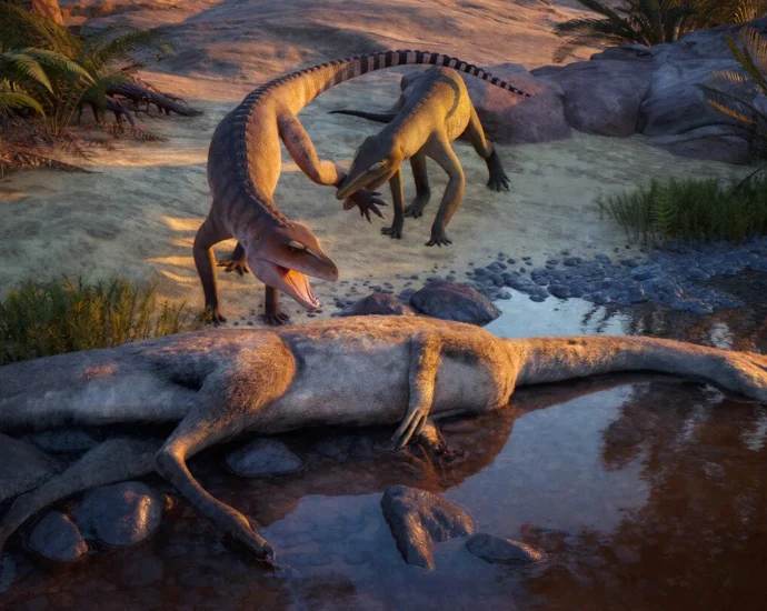 a-forgotten-fossil-just-revealed-a-new-triassic-predator-from-210-million-years-ago