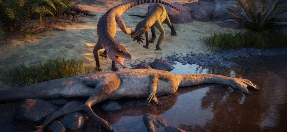 a-forgotten-fossil-just-revealed-a-new-triassic-predator-from-210-million-years-ago