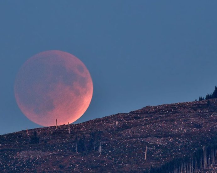 what’s-up:-august-2026-skywatching-tips-from-nasa