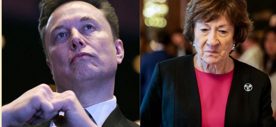 elon-musk-goes-all-in-on-trying-to-save-susan-collins