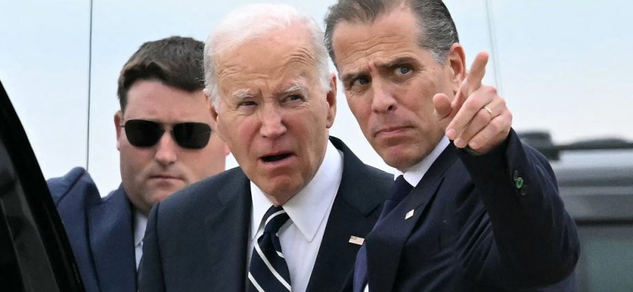 hunter-biden-fits-a-dozen-dirty-words-into-2-minute-blitz-on-the-traitor,-top-democrats