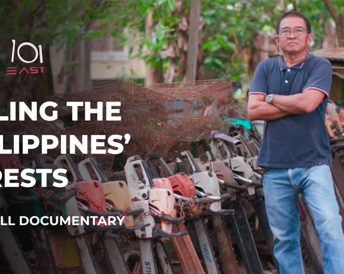 vanishing-forests:-why-is-the-philippines-failing-at-reforestation?