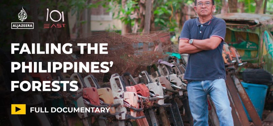 vanishing-forests:-why-is-the-philippines-failing-at-reforestation?
