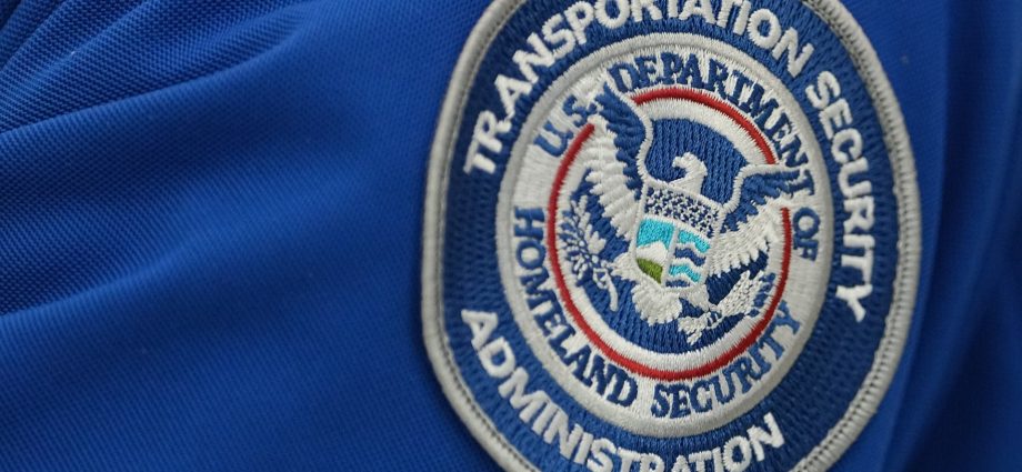 from-regulations-to-relatability:-tsa-embraces-a-quirkier-online-voice