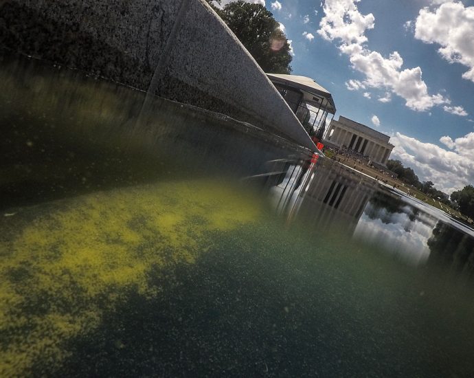 doj-reverses-charges-in-reflecting-pool-vandalism-case