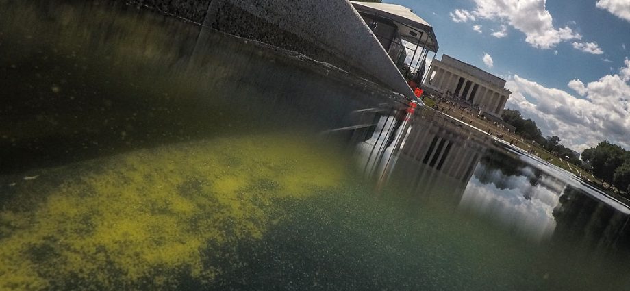 doj-reverses-charges-in-reflecting-pool-vandalism-case