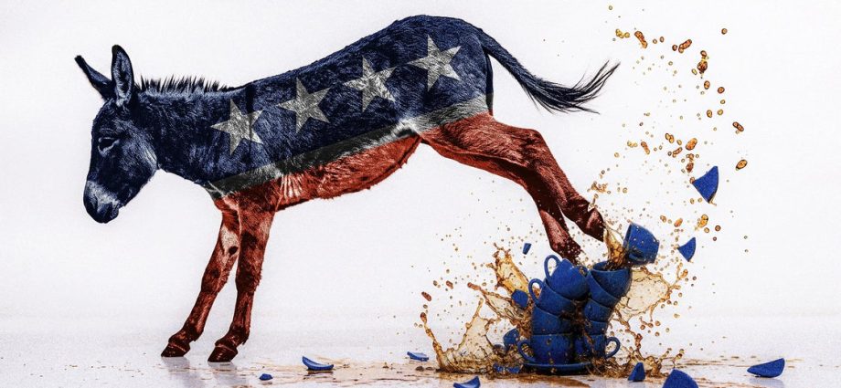 democrats-confront-their-new-tea-party-reality