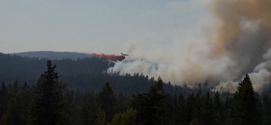 wildfires-force-mass-evacuations-across-the-pacific-northwest