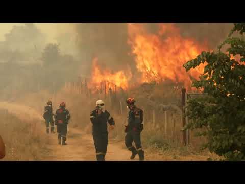 greece-battles-wildfires,-drought-shuts-hungary’s-nuclear-power-plant