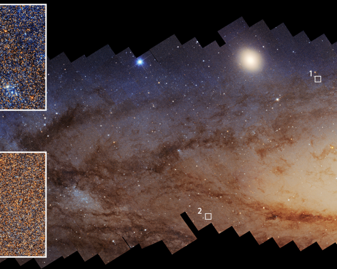 Hubble telescope takes one of the most detailed looks at neighboring Andromeda galaxy ever — Space photo of the week
