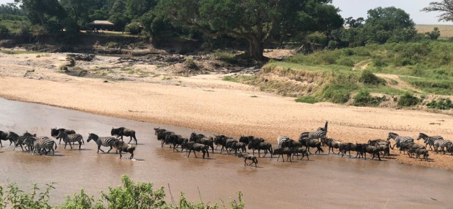 the-battle-for-the-maasai-mara:-can-kenya’s-most-iconic-ecosystem-be-saved?