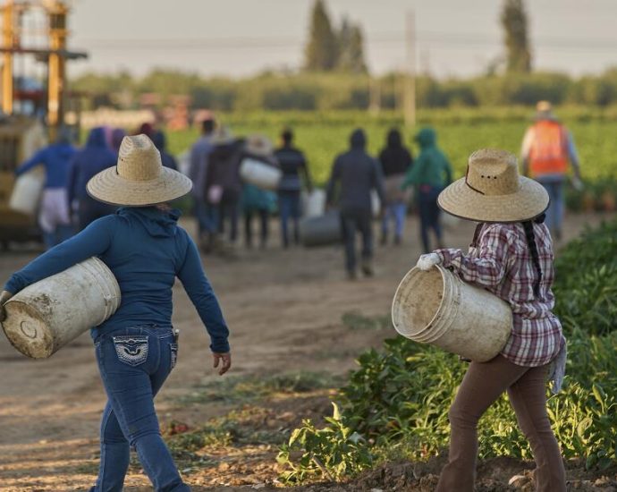 california-counties-monitoring-for-measles-in-farmworkers-from-arizona