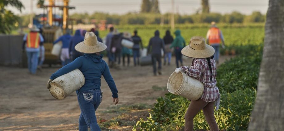 california-counties-monitoring-for-measles-in-farmworkers-from-arizona