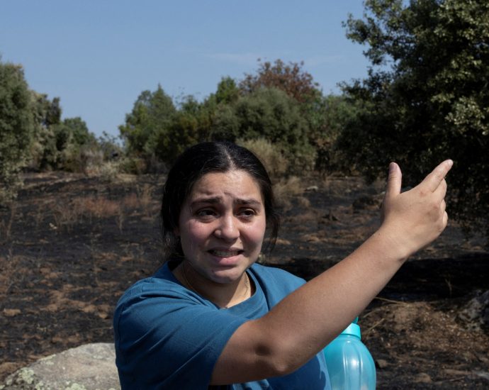dangerous-summers:-how-heatwaves-and-wildfires-change-life-across-europe