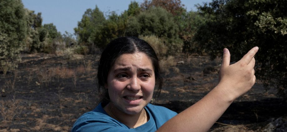 dangerous-summers:-how-heatwaves-and-wildfires-change-life-across-europe