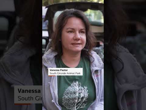 animal-refuge-rescues-wildlife-fleeing-fires