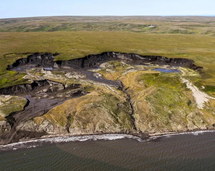 ancient-arctic-carbon-is-pouring-into-the-sea,-but-the-seabed-captures-most-of-it