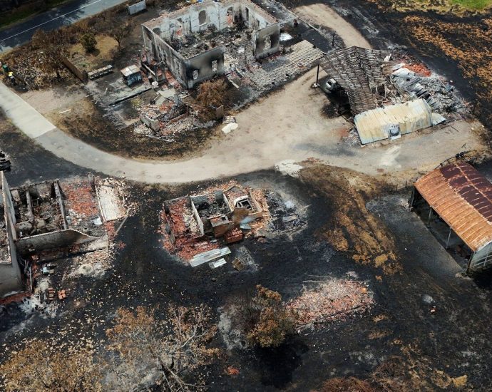 bomb-disposal-underway-in-le-porge-after-wildfires-unearth-wwii-shells