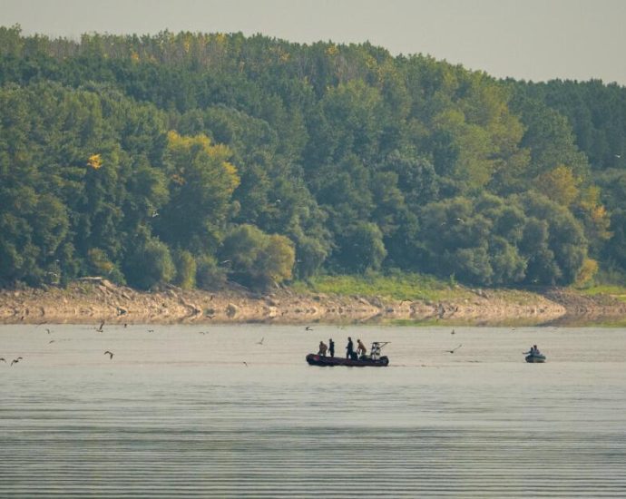 record-low-danube-levels-push-some-countries-in-eastern-europe-to-the-brink-of-energy-emergency
