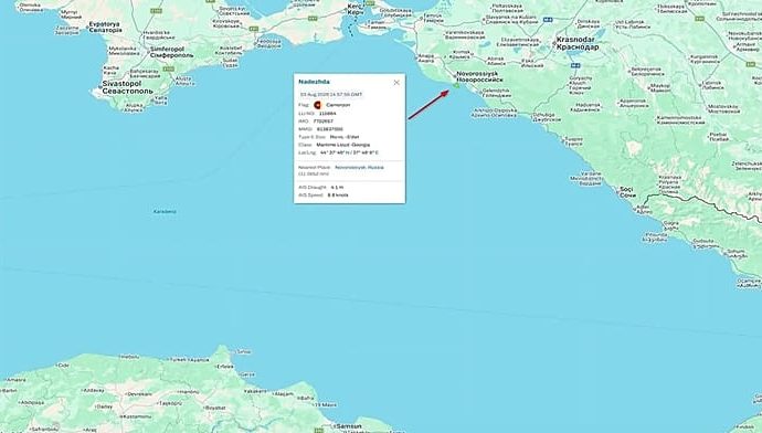 turkish-foreign-ministry-denounces-attacks-on-two-civilian-cargo-ships-in-black-sea