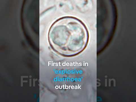 us-reports-first-deaths-from-parasite-that-causes-explosive-diarrhea-|-dw-news