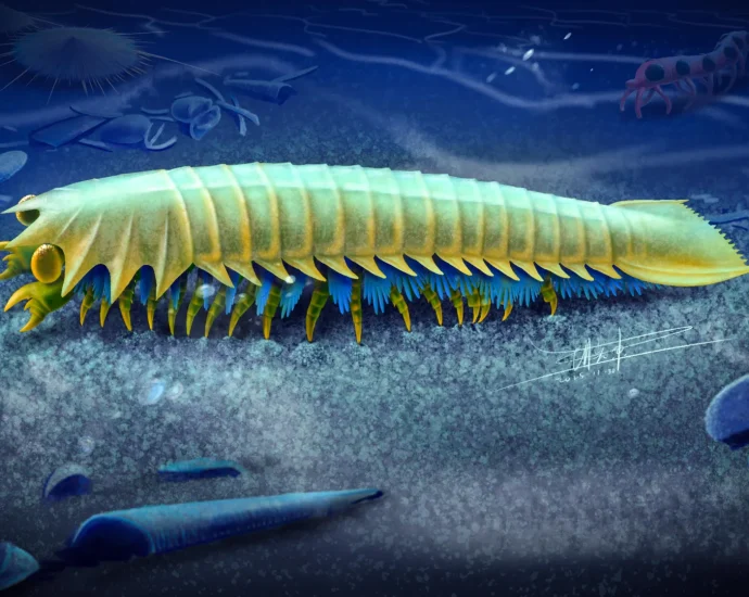 518-million-year-old-creature-reveals-the-origins-of-spider-fangs