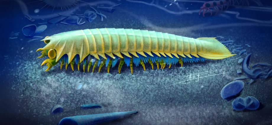 518-million-year-old-creature-reveals-the-origins-of-spider-fangs