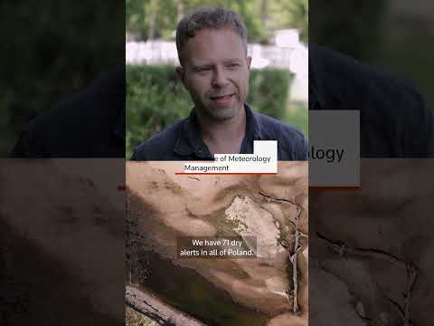 drought-exposes-shipwrecks,-‘hunger-stones’-in-european-rivers