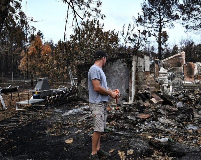 how-much-of-a-challenge-are-wildfires-to-europe?