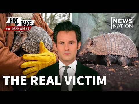 leprosy-is-back-and-armadillos-may-be-to-blame-|-hot-take-with-jesse-weber