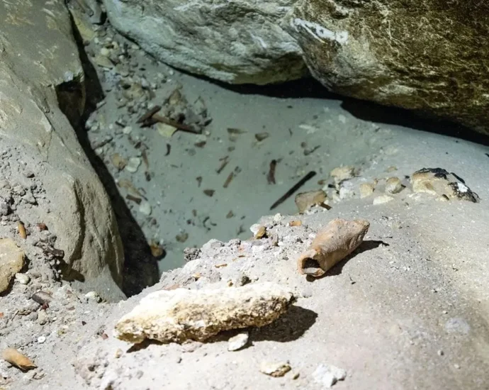 these-underwater-bones-could-solve-a-mystery-about-extinct-giants
