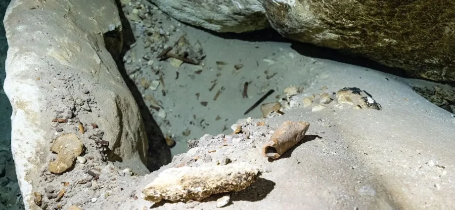 these-underwater-bones-could-solve-a-mystery-about-extinct-giants