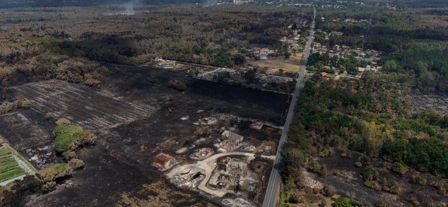 in-area-hit-by-blaze,-french-officials-failed-to-enforce-wildfire-rules