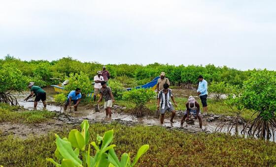africans-bear-the-brunt-of-biodiversity-loss