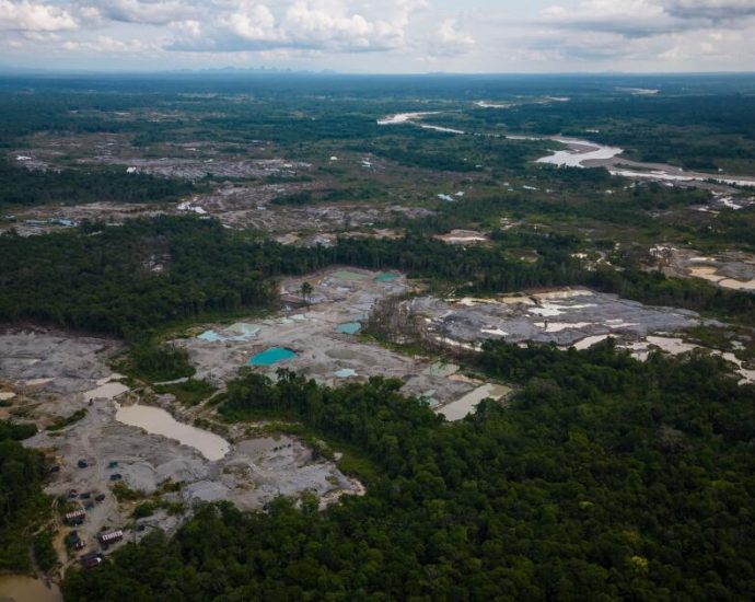 five-amazon-countries-arrest-hundreds-in-major-crackdown-on-environmental-crime