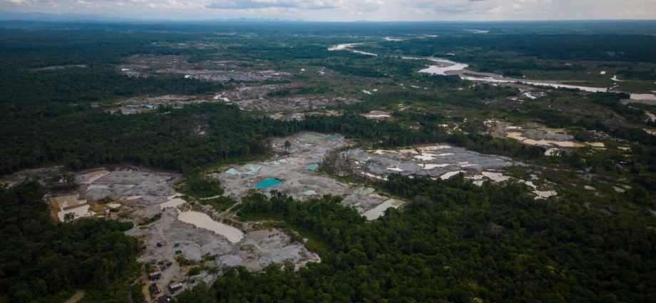 five-amazon-countries-arrest-hundreds-in-major-crackdown-on-environmental-crime