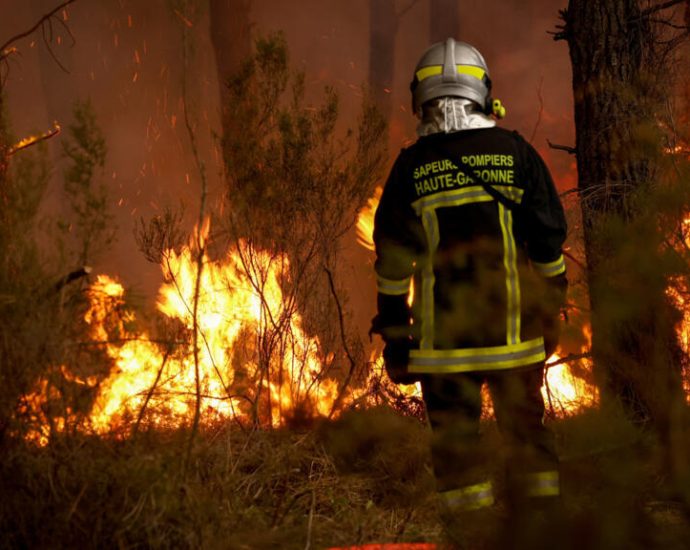 How did climate change fuel the wildfires ravaging Europe this summer?