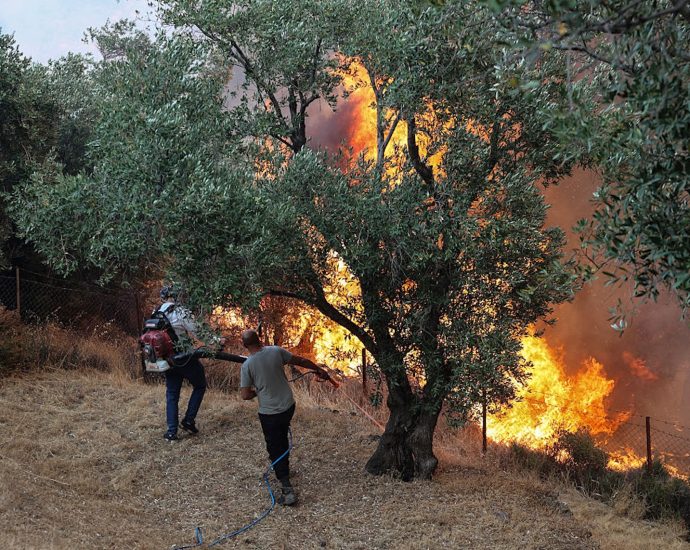 lesbos-is-burning.-i’m-not-there